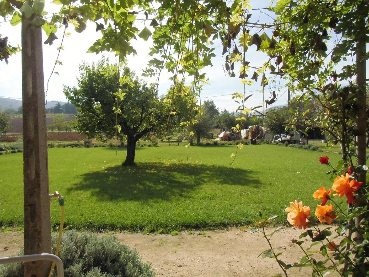 הוילה Pietrafitta  Agriturismo Abbazia Sette Frati A Casa Di Sara מראה חיצוני תמונה